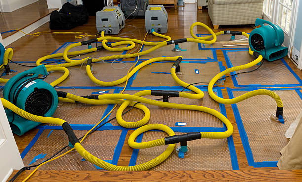 Professional Sewage Cleanup technician working in Elwood, KS
